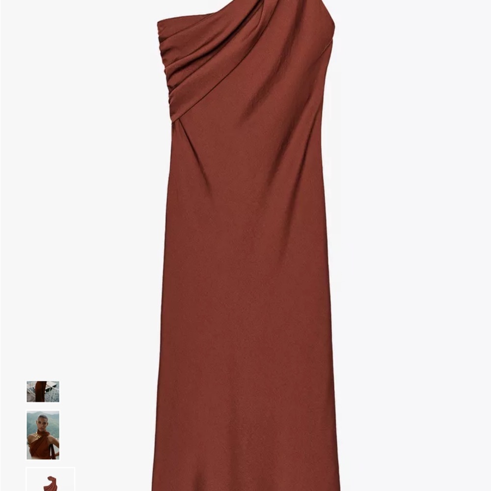 Zara dress